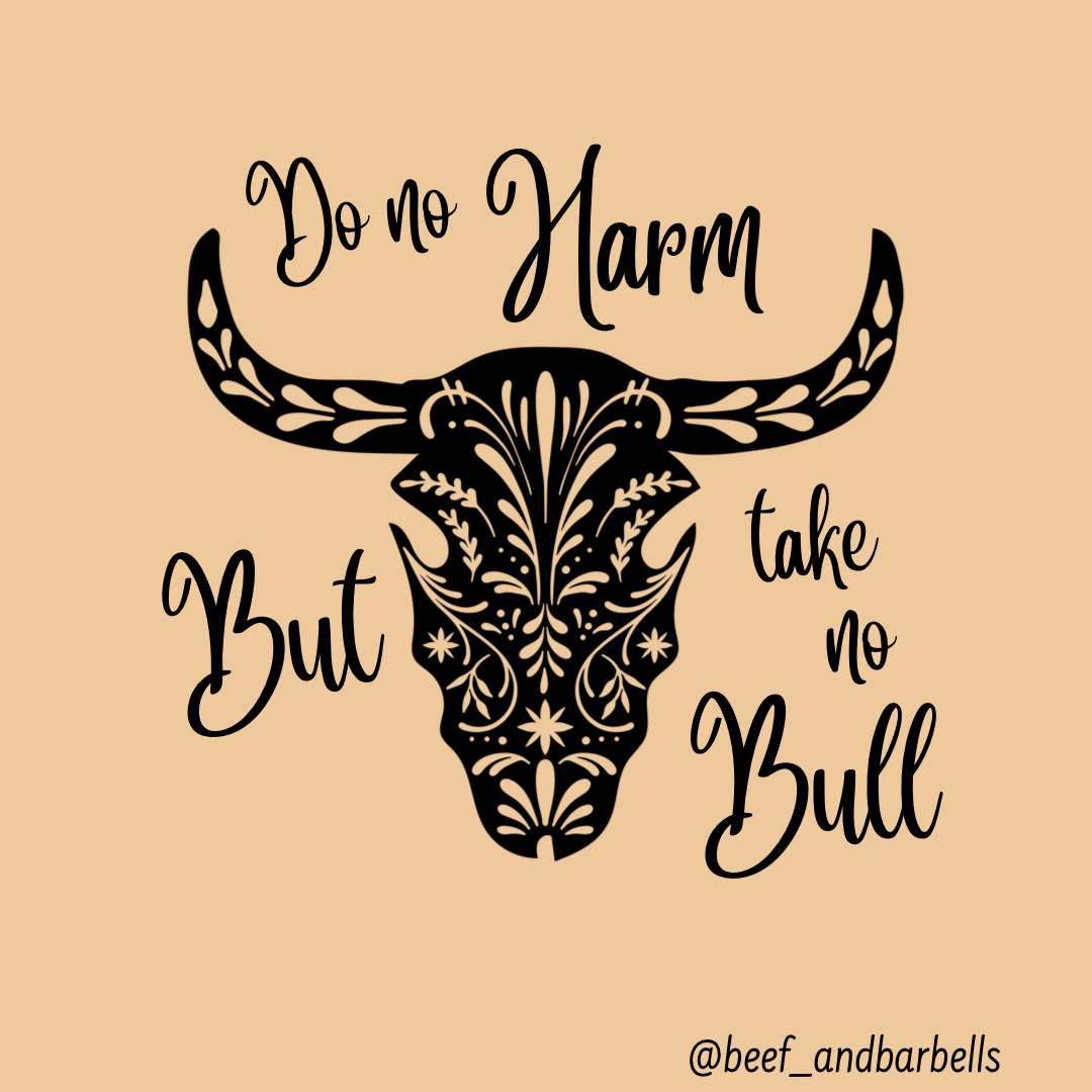Take No Bull Hoodie